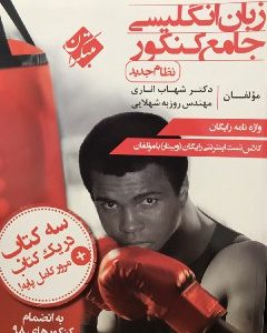 زبان جامع اناری مبتکران