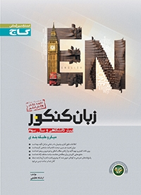 زبان میکرو نظام قدیم